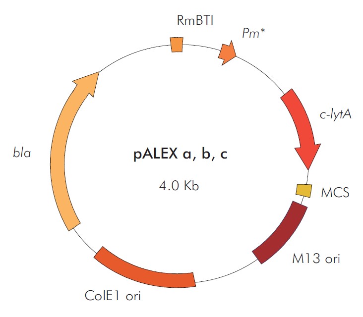 pALEX a,b,c载体图谱