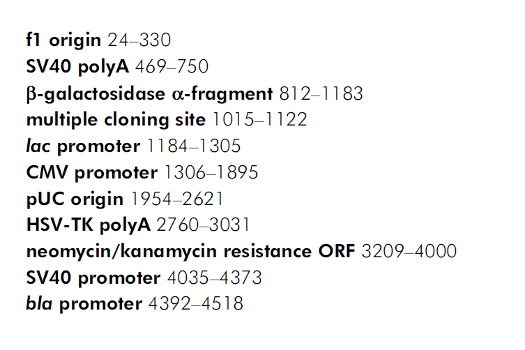 pBK-CMV 载体特征