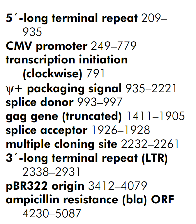 pCFB 载体特征