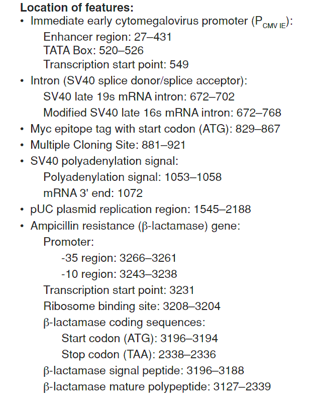 pCMV-Myc 载体特征