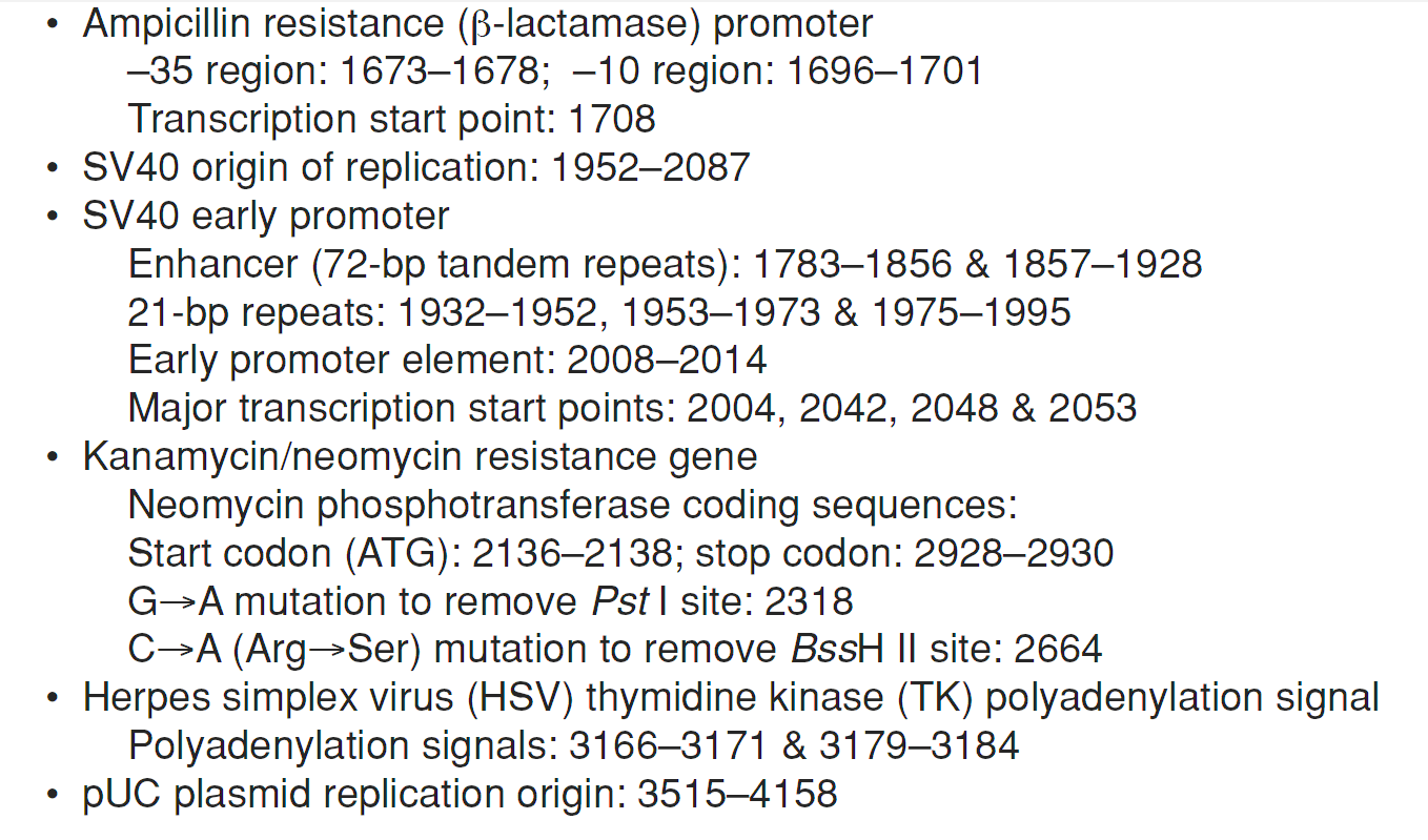 pDsRed-Express-DR 载体特征2