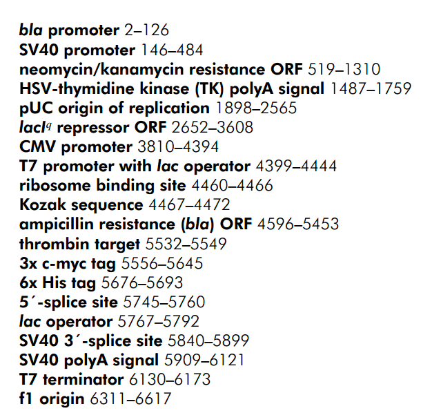 pDual-GC 载体特征