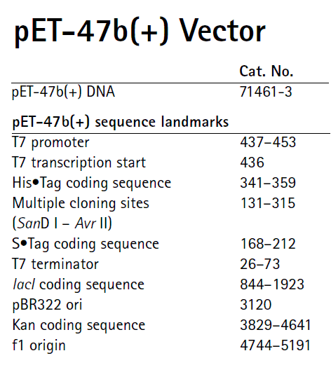 pET-47b载体特征