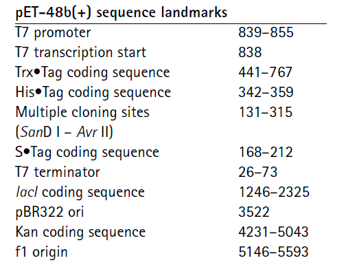 pET-48b载体特征