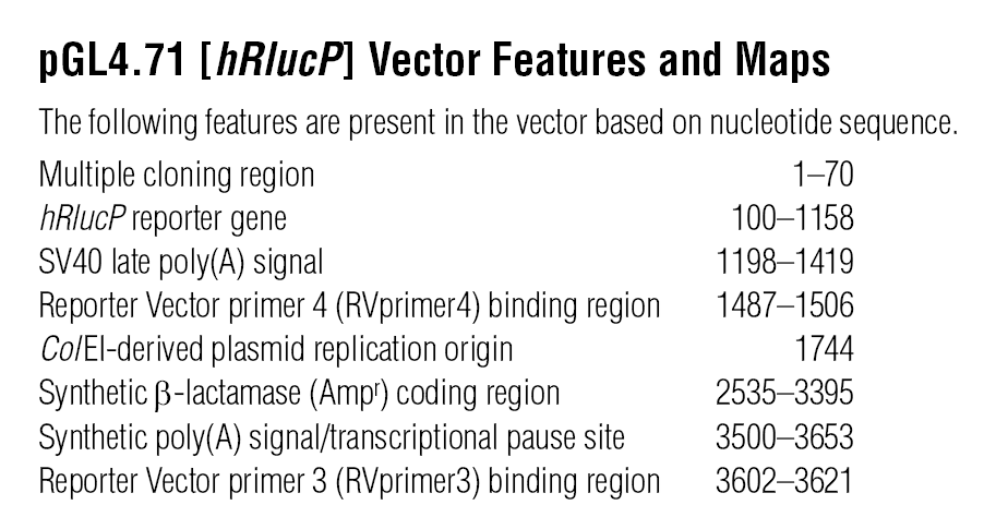 pGL4.71 载体特征