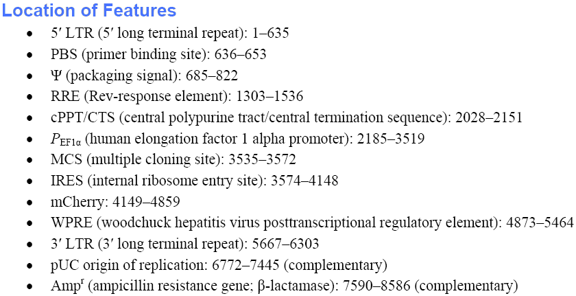 pLVX-EF1α-IRES-mCherry载体特征