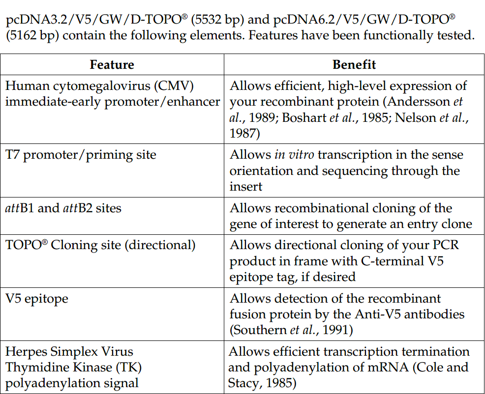 pcDNA3.2-GW-D-TOPO 载体特征1