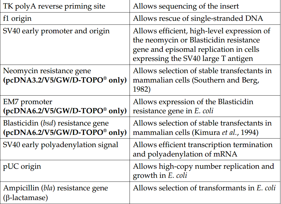 pcDNA3.2-GW-D-TOPO 载体特征2