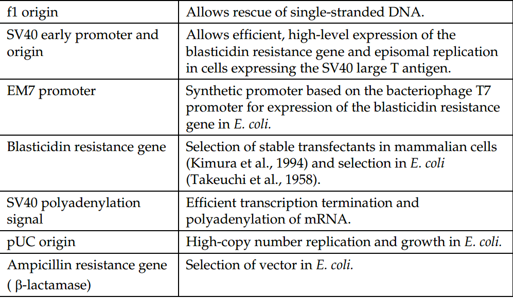 pcDNA6-V5-His 载体特征2