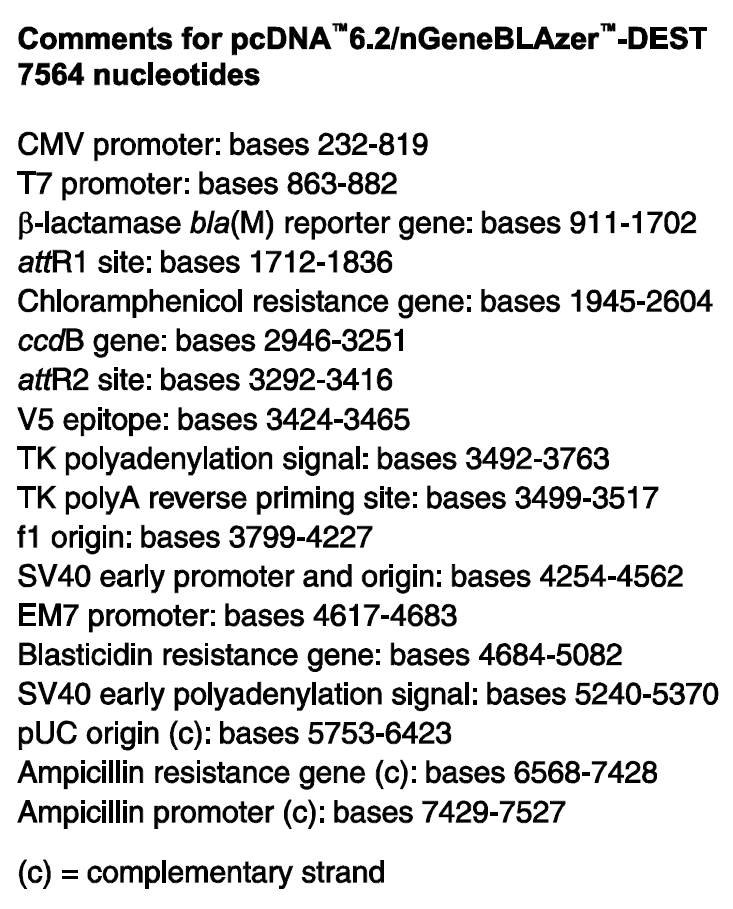 pcDNA6.2-nGeneBLAzer-DEST 特征位点