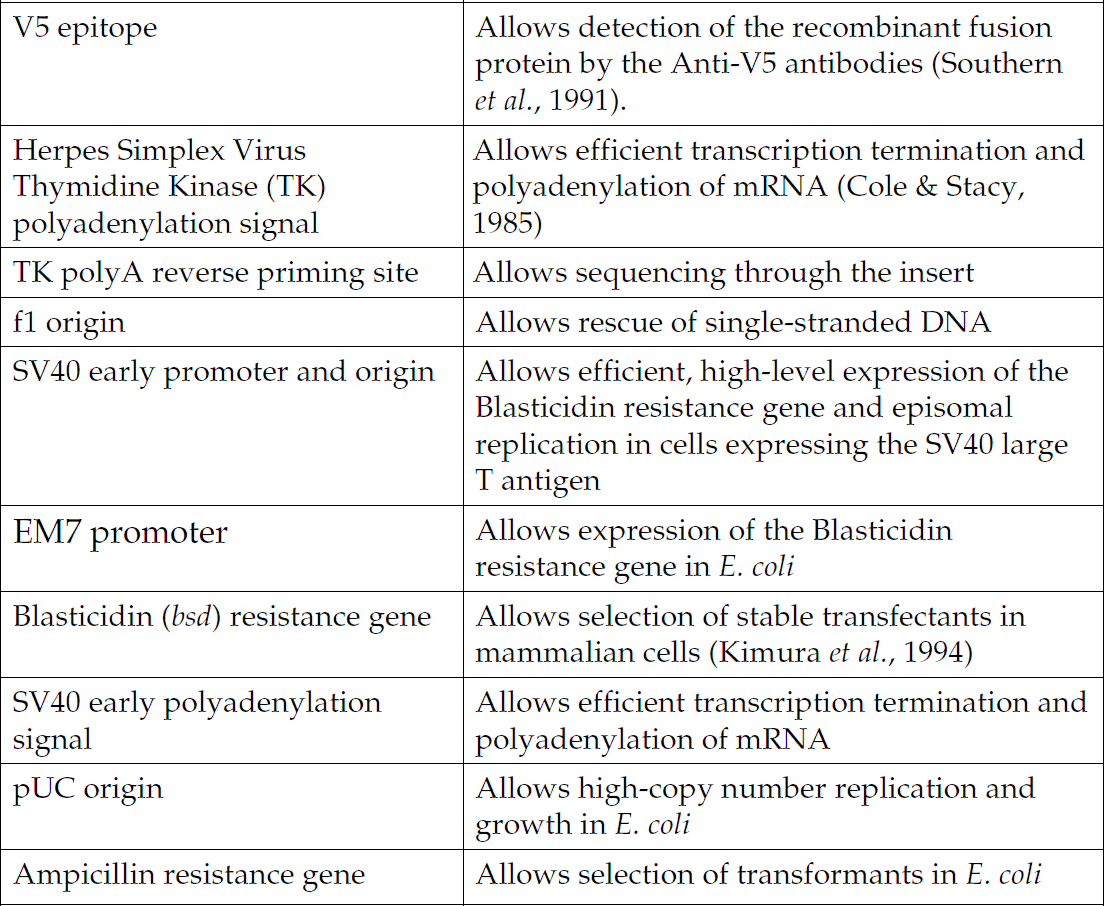 pcDNA6.2-nGeneBLAzer-DEST 载体特征2