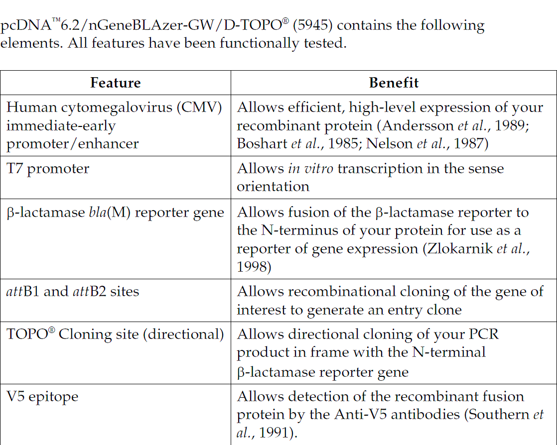 pcDNA6.2-nGeneBLAzer-GW-D-TOPO 载体特征1