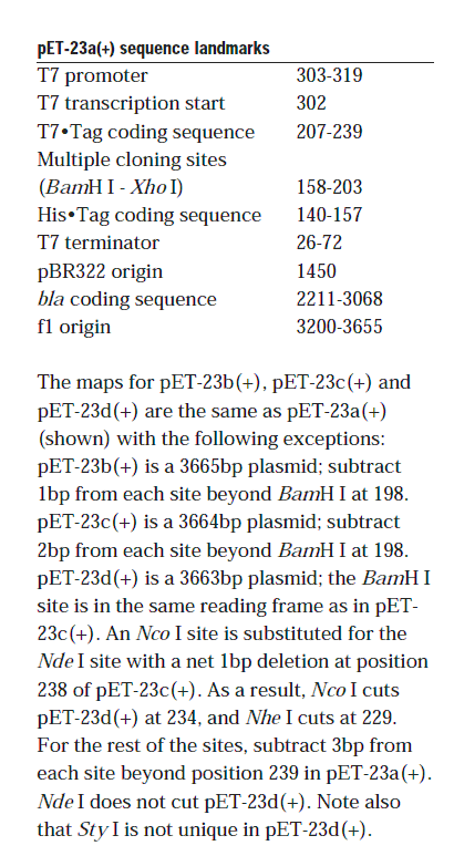 pET-23a载体特征