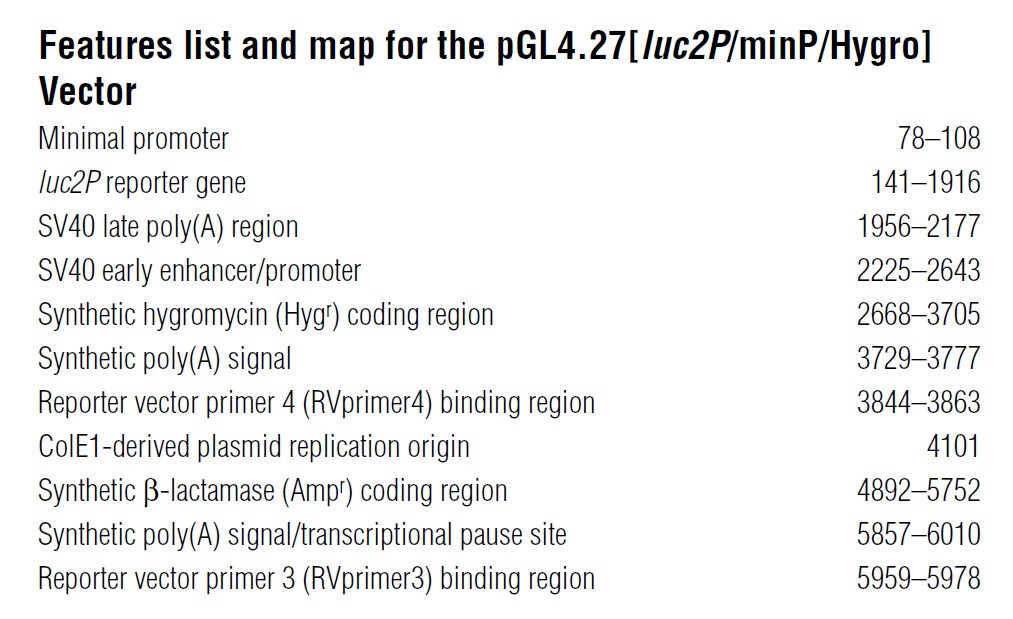 pGL4.27载体特征