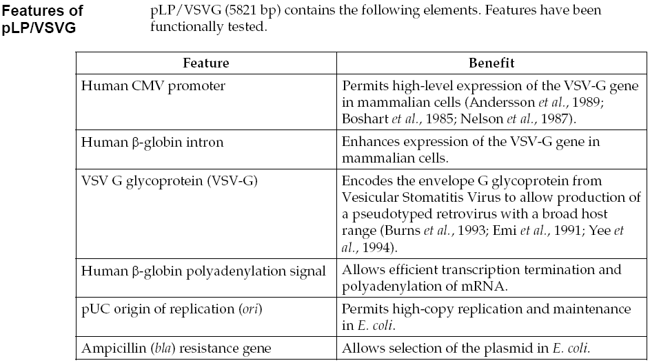 pLP/VSVG载体特征