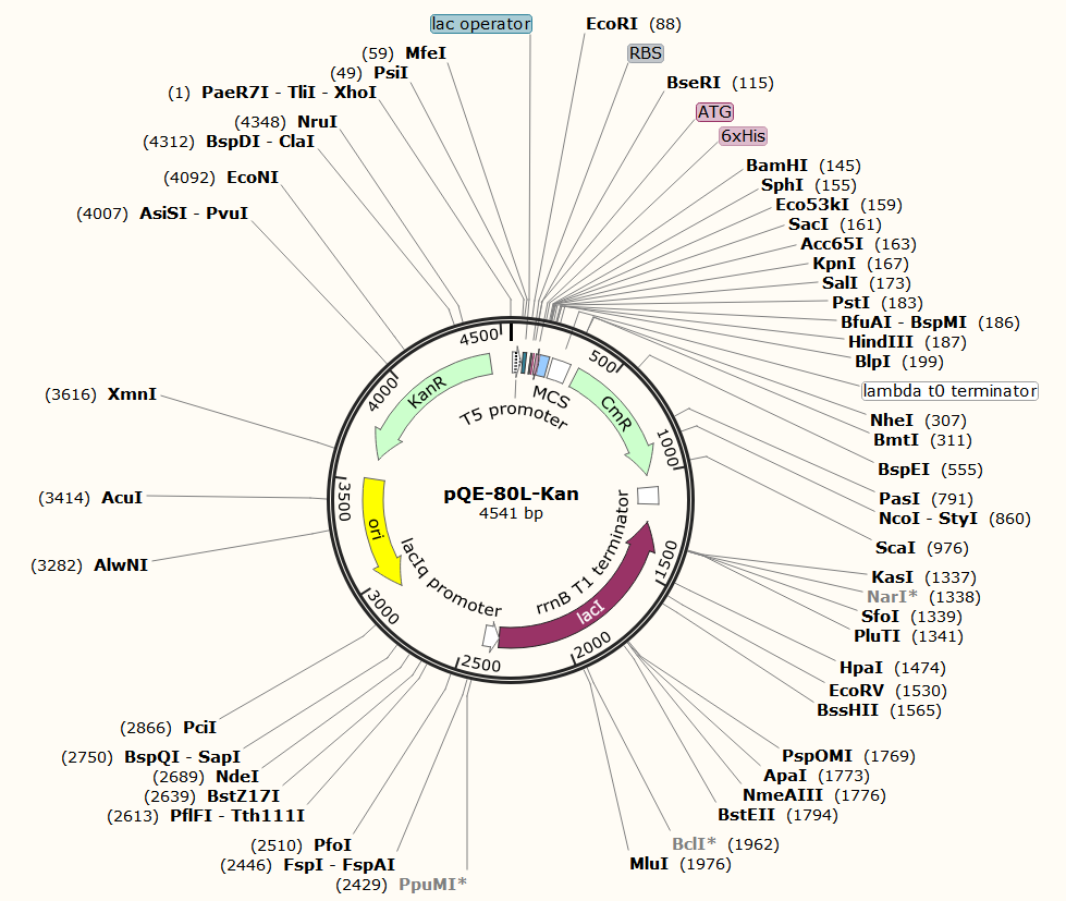 PQE-80L-Kan质粒图谱、载体图谱、序列、价格、抗性、测序引物、大小等信息_生物风载体