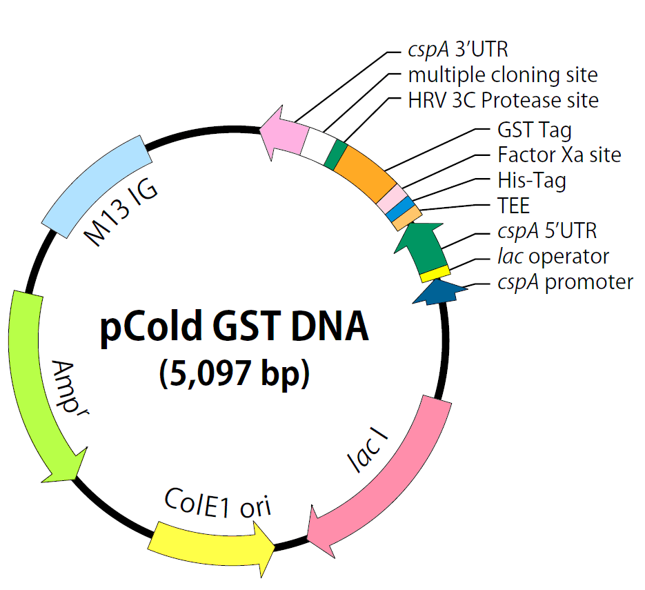 保藏中心 - biovector質粒載體菌種細胞蛋白抗體基因保藏中心-ntcc典