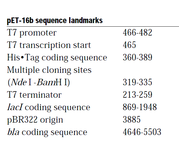 pet20b载体图谱图片