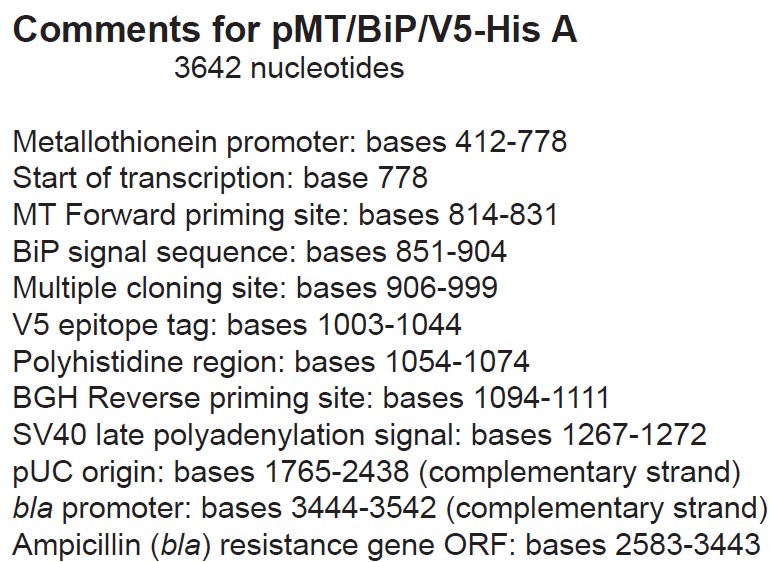 PMT-Bip-V5-HisA质粒图谱、载体图谱、序列、价格、抗性、测序引物、大小等信息_生物风载体